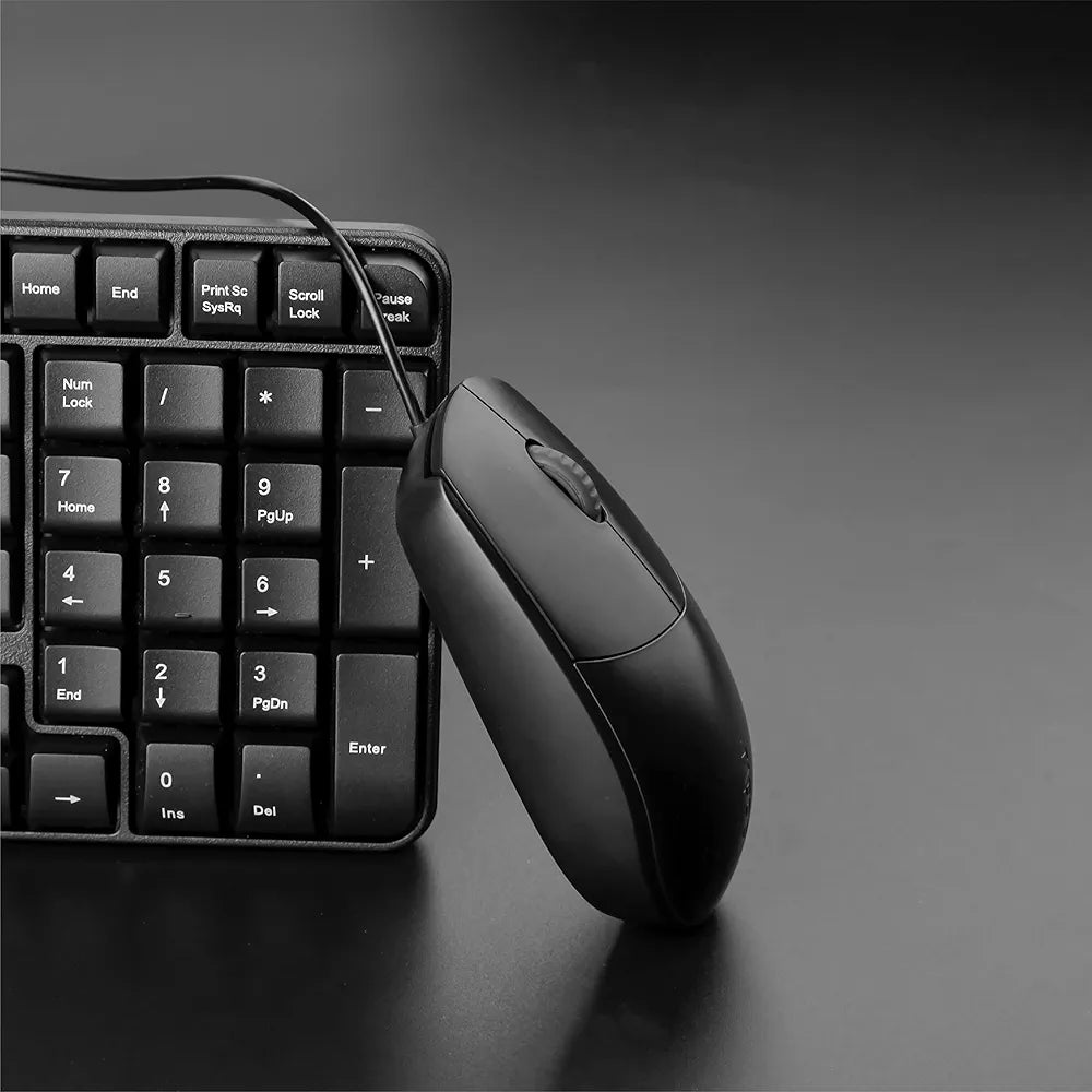N100 MOUSE/W OPT