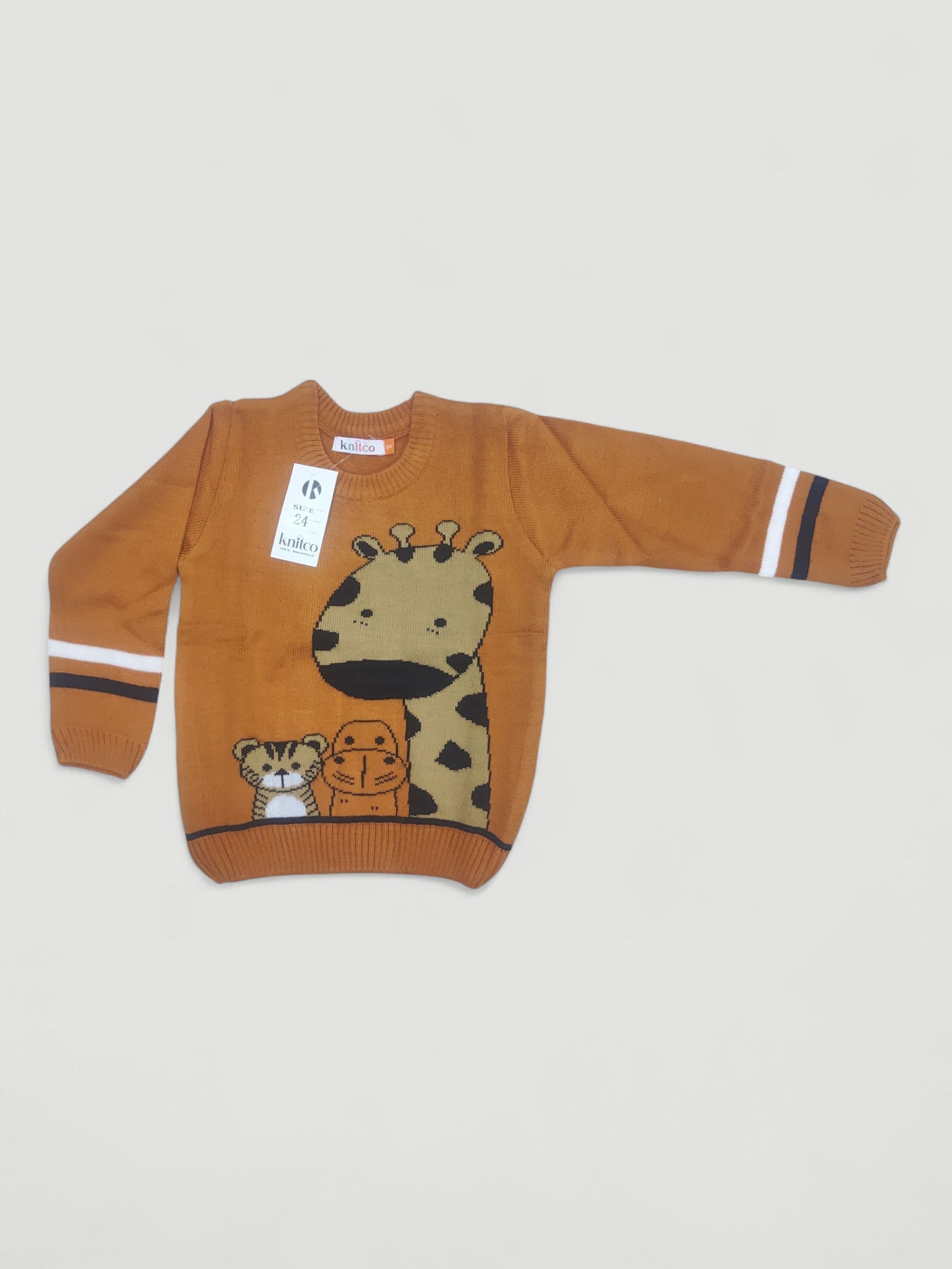 PI 24CM 2 SWEATER 6 to 9 Months