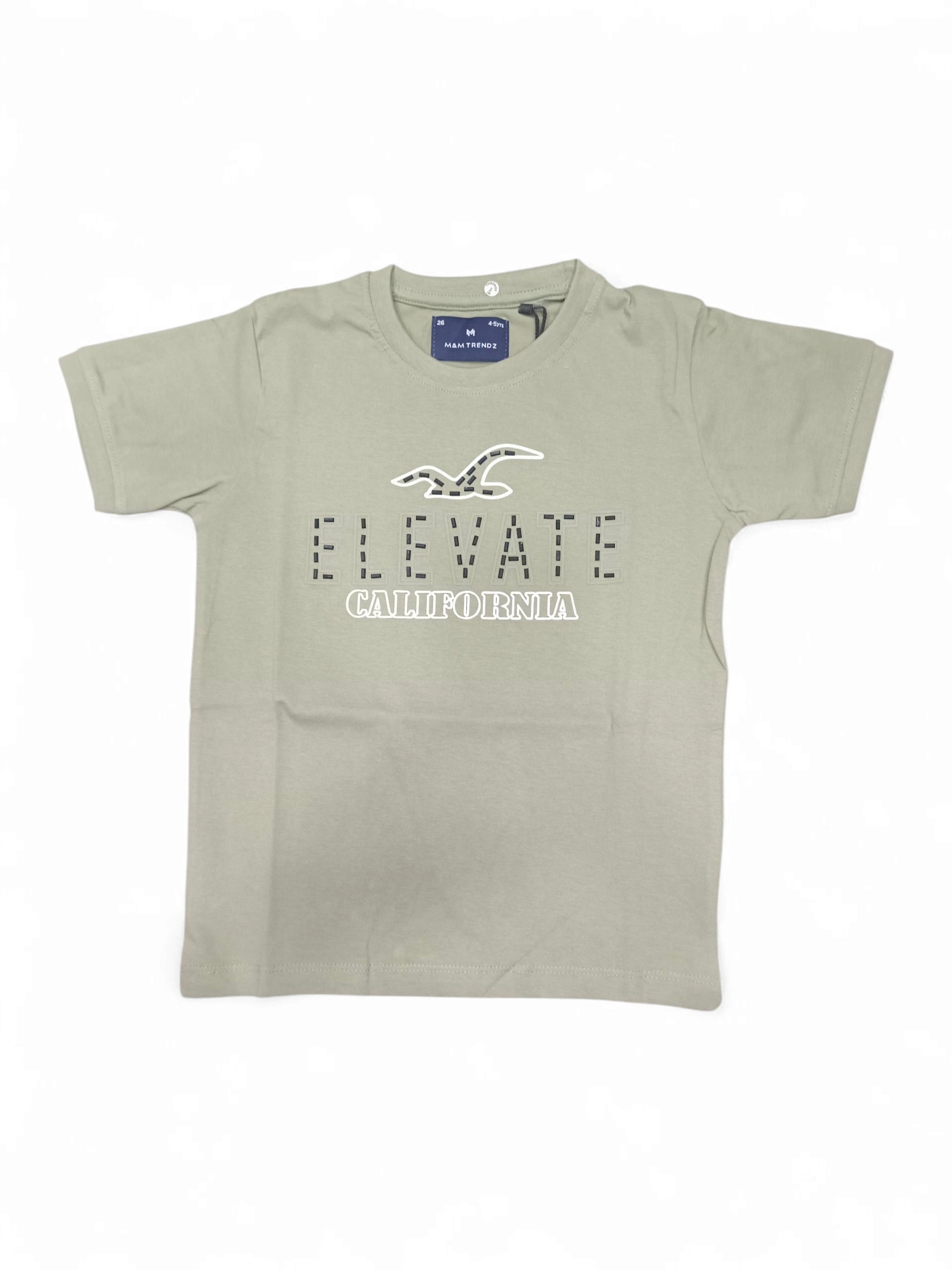 BHC TS 26-22-4 to 5 years
