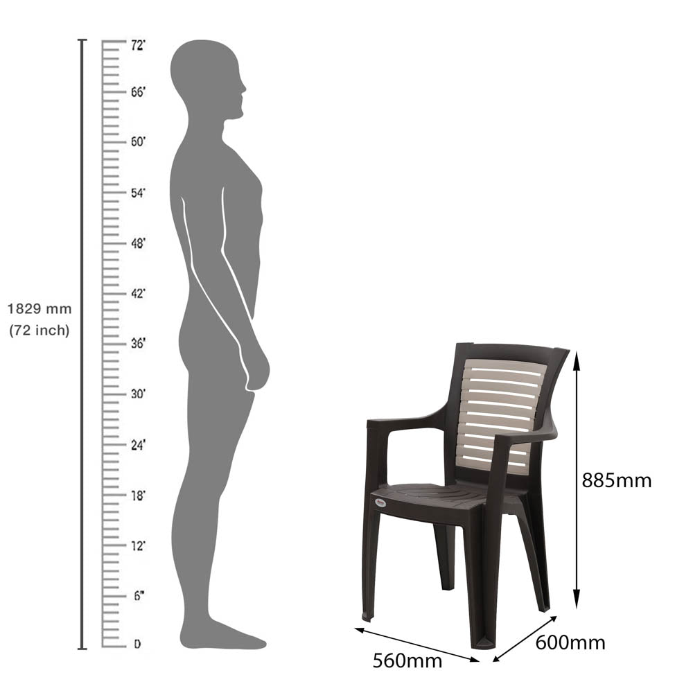 CHAIRS-SPRM COLOURS