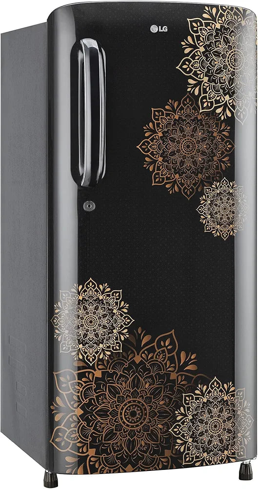 LG FRIDGE 190L B201 AERD