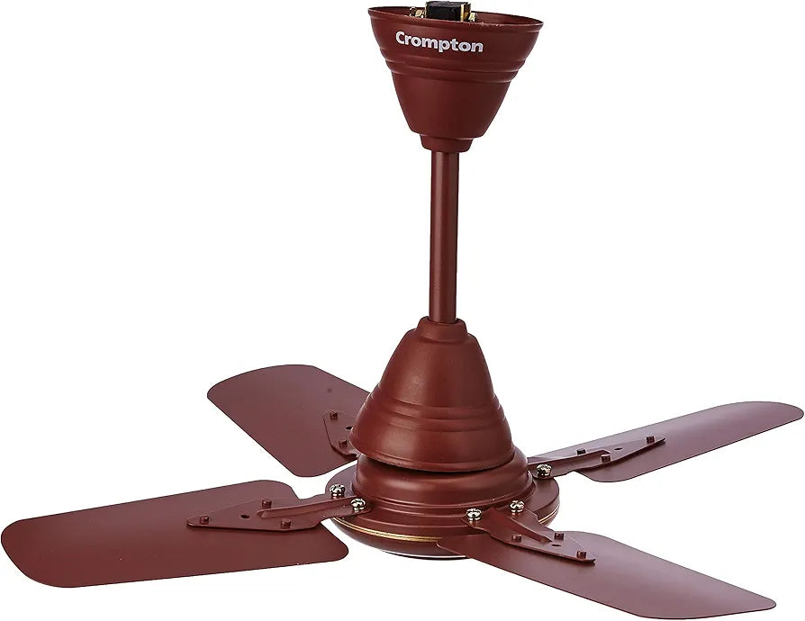 CRO 24 ARIYABRIZ BROWN C/F