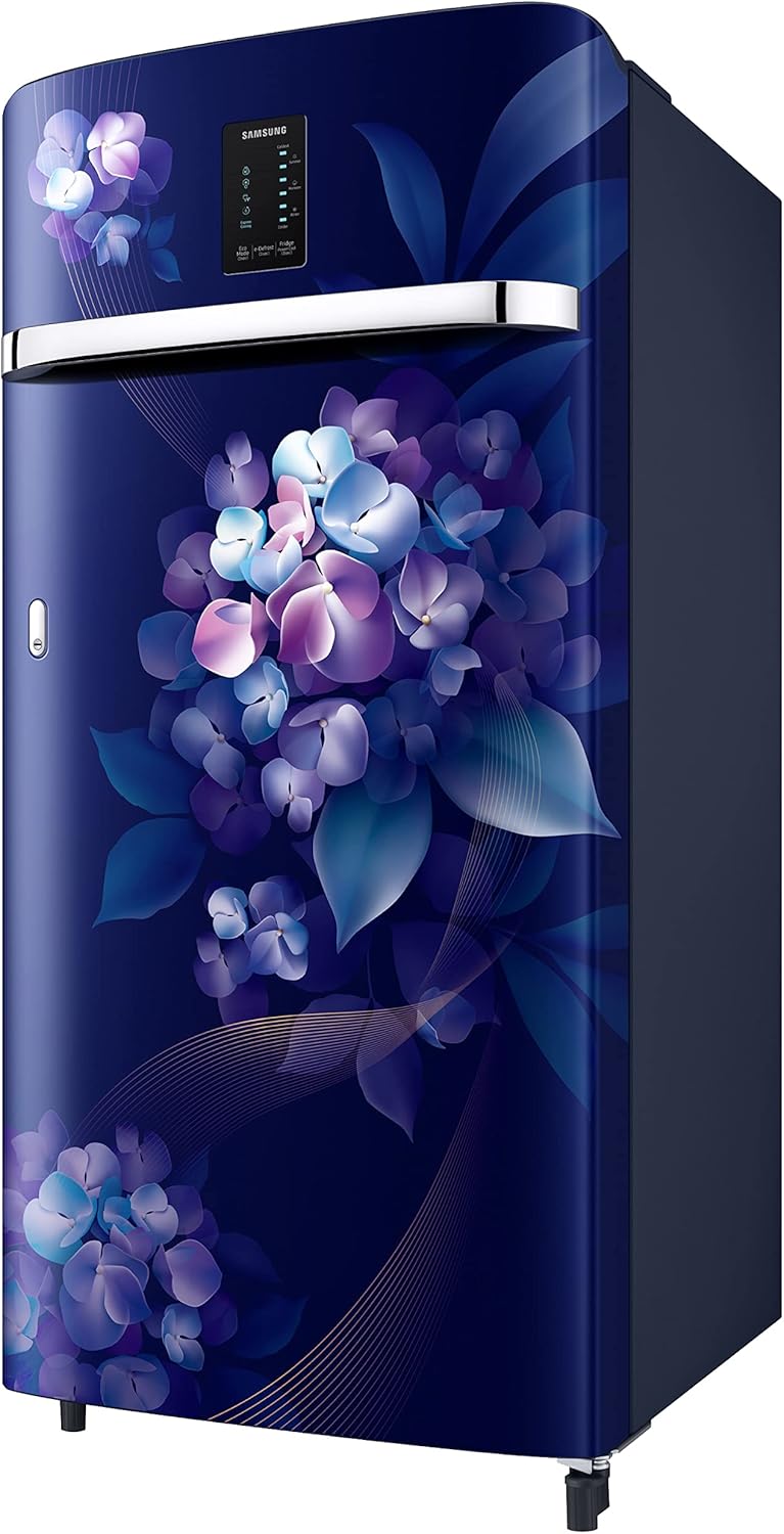 SAMSUNG FRIDGE RR21C2E24HS/HL