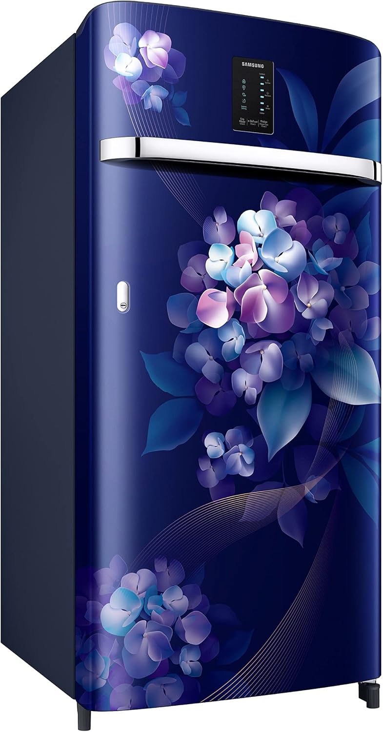 SAMSUNG FRIDGE RR21C2E24HS/HL