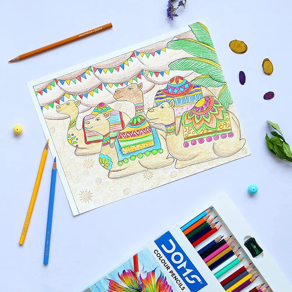 DOMS COLOUR PENCIL 3446 FSC 24 COL PENCIL