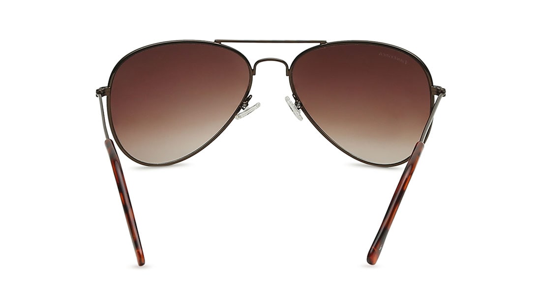 FTK S/G M138BR2V SUNGLASS