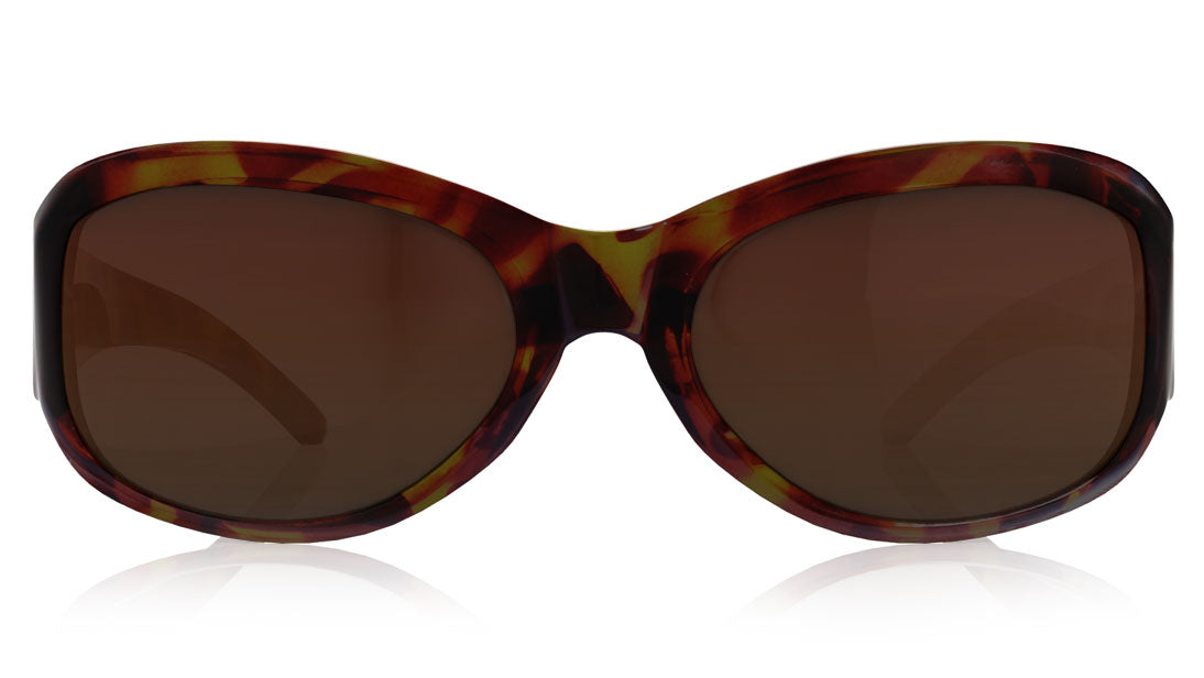 FTK S/G P186BR1FV SUNGLASS