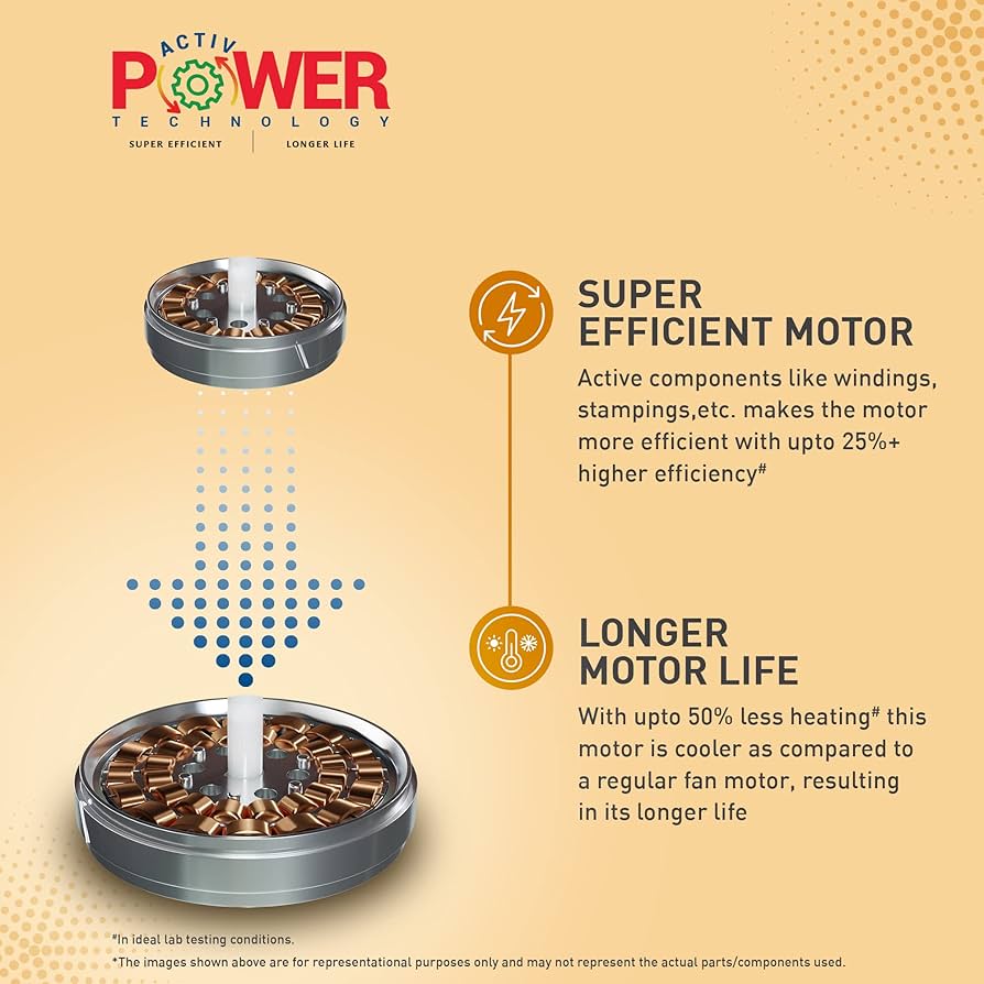 CRO 48 H-S TORO MBROWN C/F