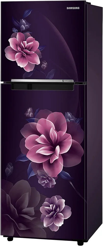 SAMSUNG FRIDGE FF-RT28C3022CR