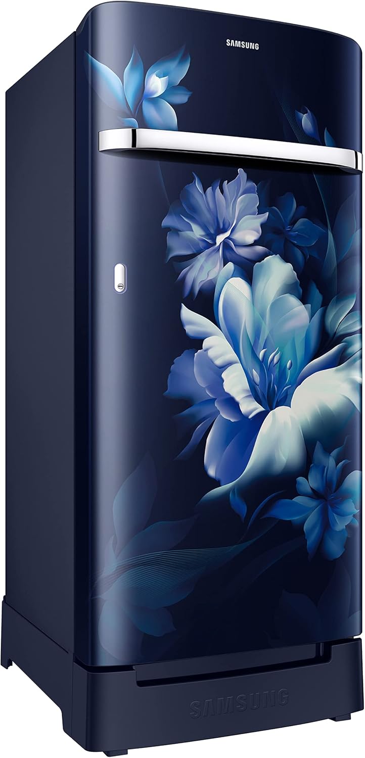 SAMSUNG FRIDGE DC-RR21C2H25UZ