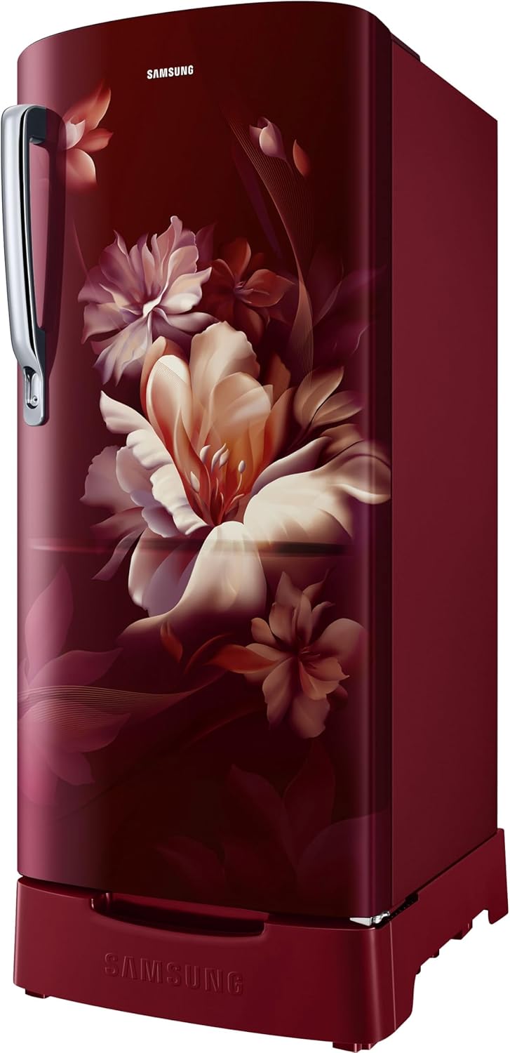 SAMSUNG FRIDGE DC-RR20D1823RZ