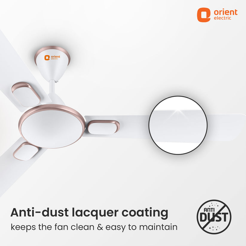 ORNT 48 BLANCO CMWH C/F