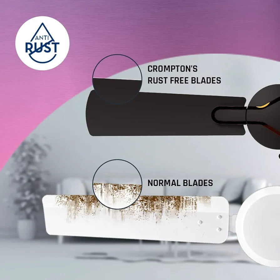 CRO 48 GIANNA ROAST/BROWN C/F