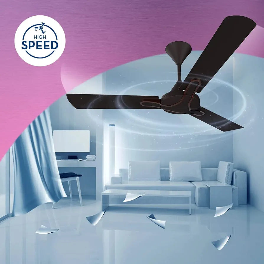 CRO 48 GIANNA ROAST/BROWN C/F