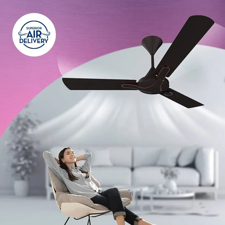 CRO 48 GIANNA ROAST/BROWN C/F