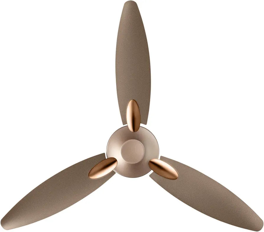 US 50 BLOOM DAFFODIL SPRKL GOLD/BR -C/F