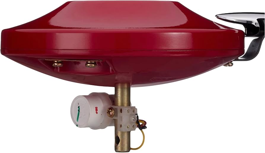 US 50 BLOOM DAFFODIL SPRKL RED&BK -C/F