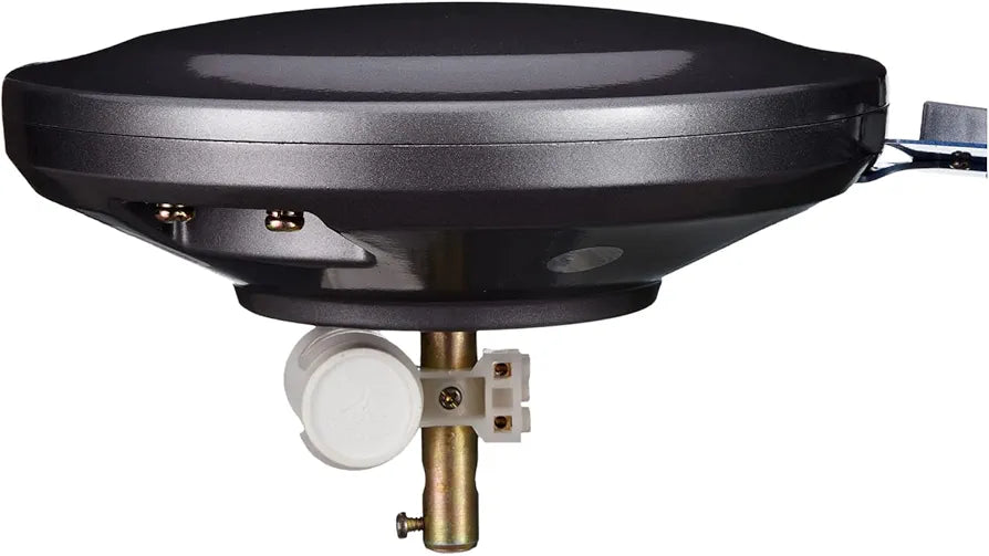 US 50 BLOOM MAGNOLIA SPRKL GR/BL -C/F