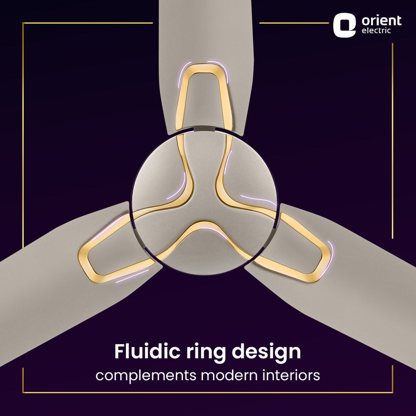 ORNT 48 JAZZ MAPLE/GLD C/F