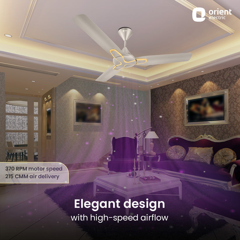 ORNT 48 JAZZ MAPLE/GLD C/F