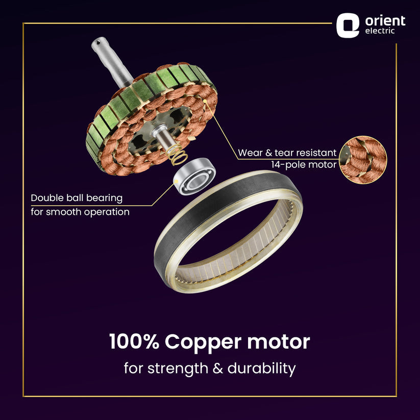 ORNT 48 JAZZ MAPLE/GLD C/F