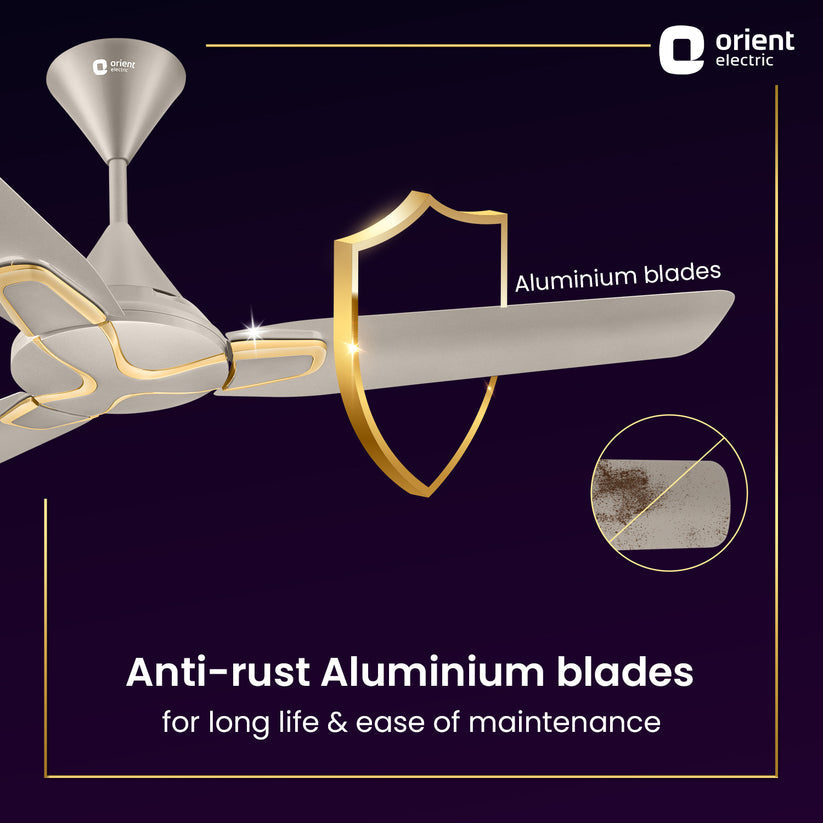 ORNT 48 JAZZ MAPLE/GLD C/F