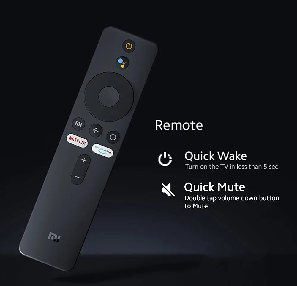 MI TV 43 -L43M6 INC